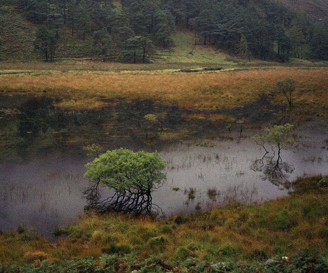 Glendalough