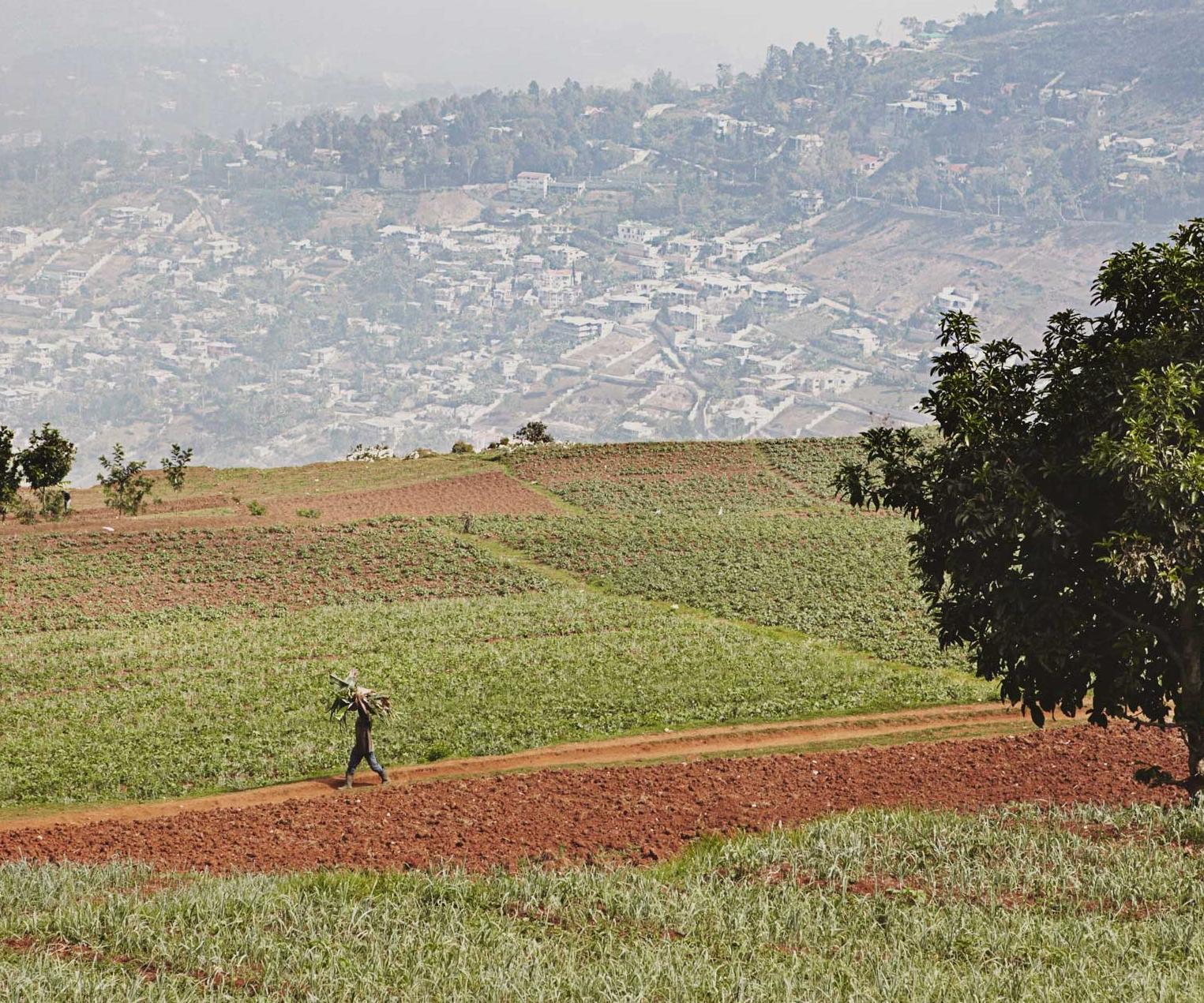 Port au Prince, Haiti